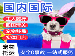 西庆机场快运国际宠物托运 【国